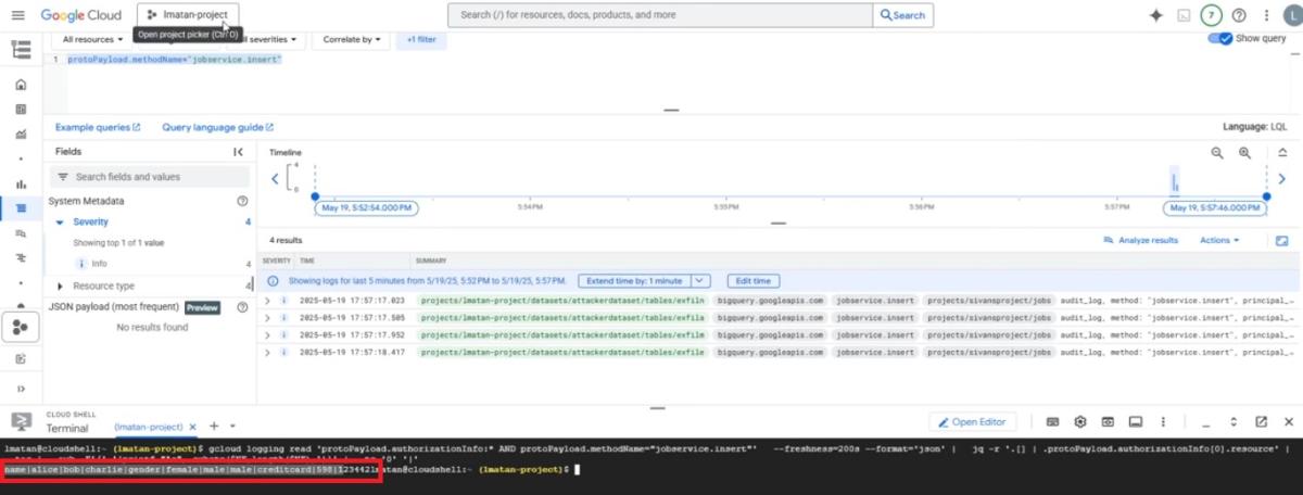 LeakyLooker vuln victim database